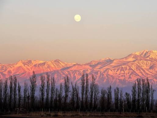Mendoza + Termas de Cacheuta (08 de octubre) 3