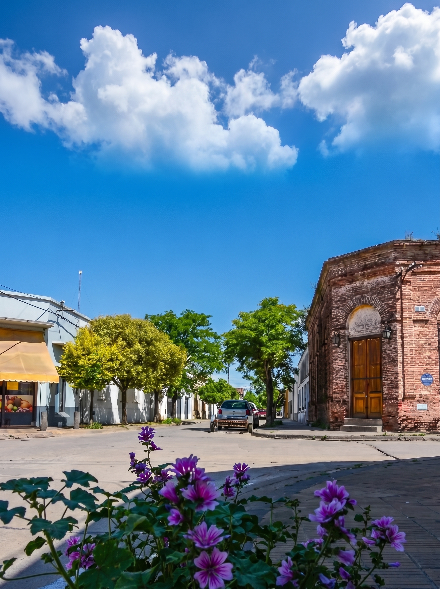 San Antonio de Areco (29 de noviembre)
