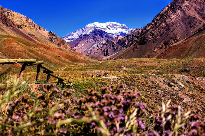 Mendoza + Termas de Cacheuta (08 de octubre) 5